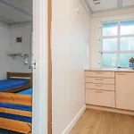 6 Person In Borkop-by Traum